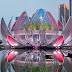 Lotus Building, o edifício em formato da flor-de-lótus