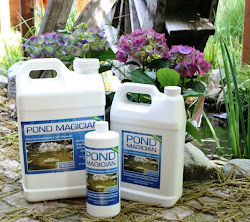 Pond Magician - The Organic Pond Cleaner