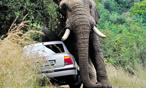 Penang Route 6 : February 2011