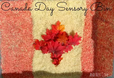 Canada Day sensory bin for kids
