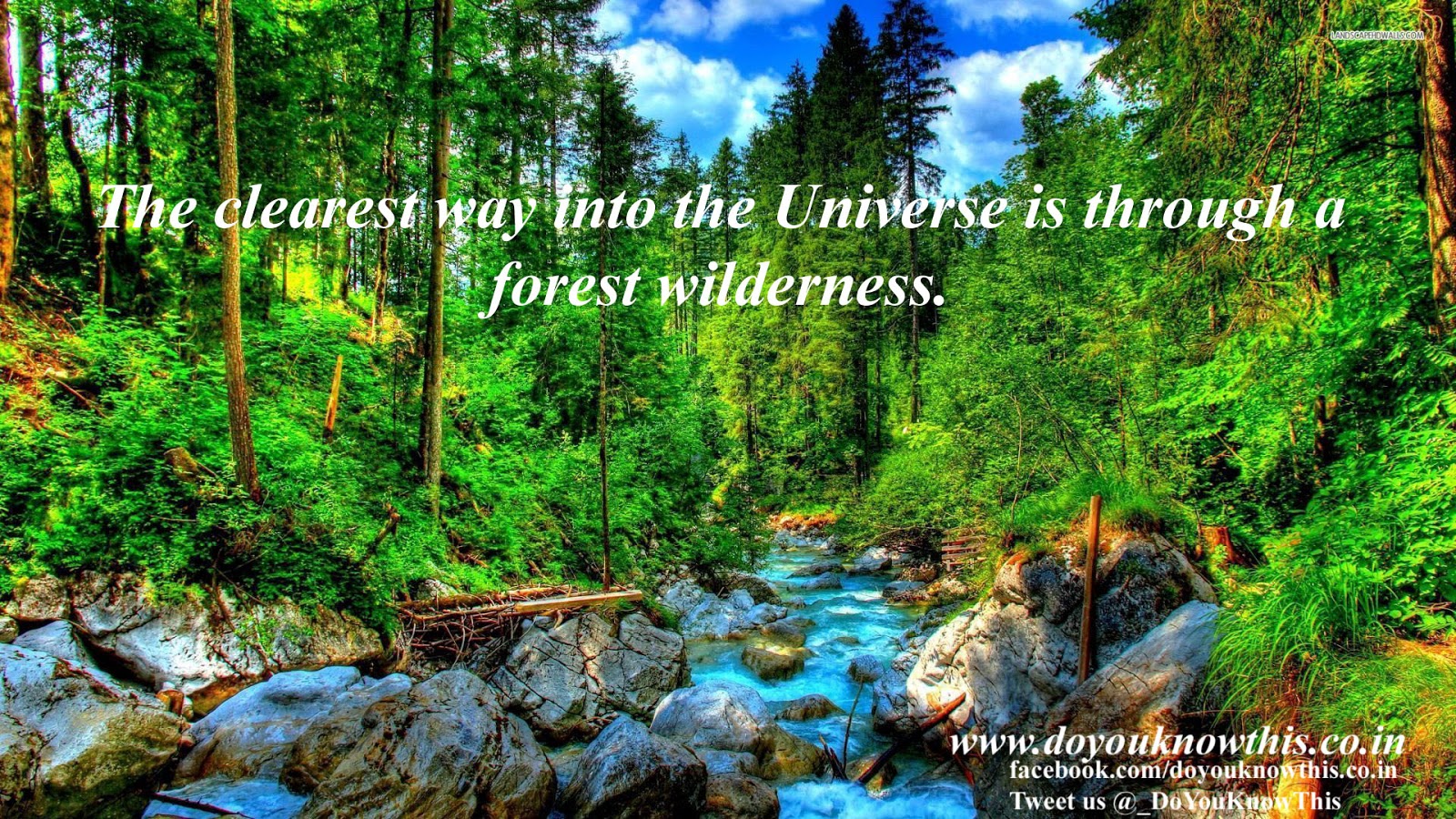 10 Beautiful Quotes on Nature
