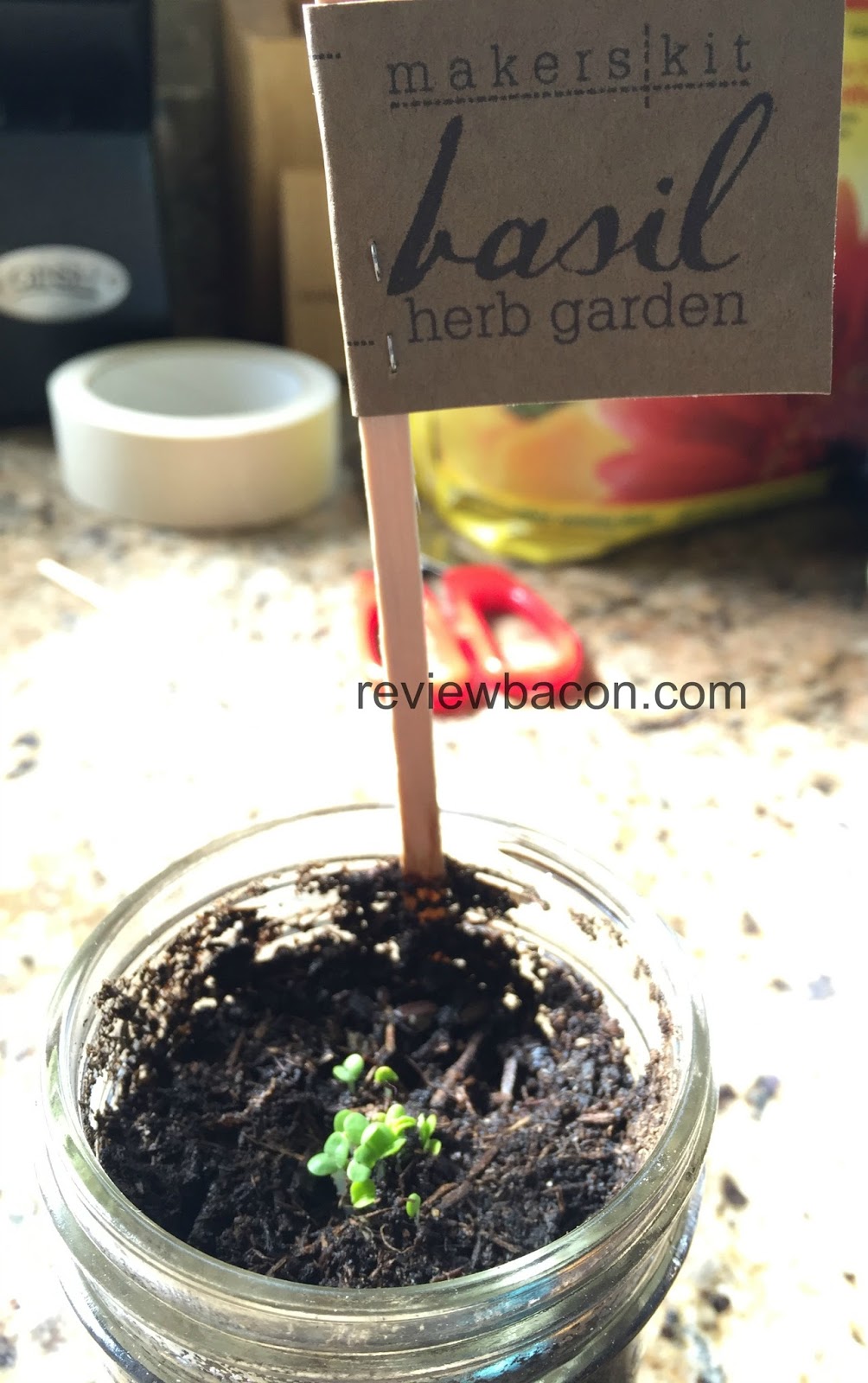 Review Bacon MakersKit Mason Herb Garden Kit