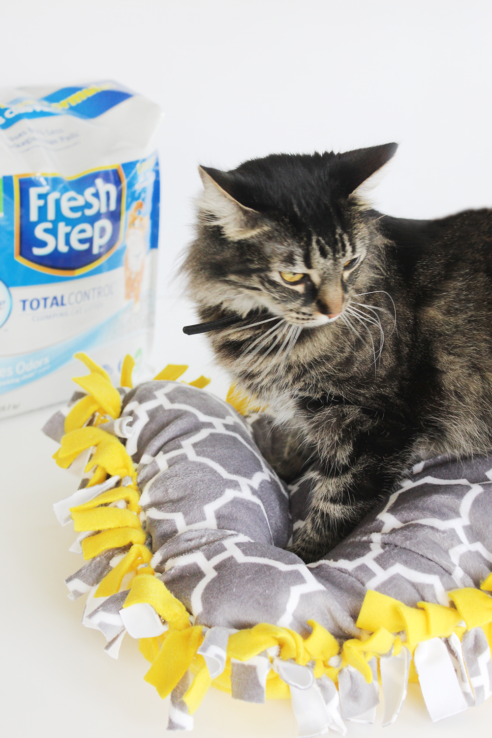 Southern Mom Loves Alternate Uses for Cat Litter + a No Sew, No Glue