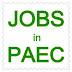 Government Jobs in PAEC after Training at KINPOE/ CHASCENT