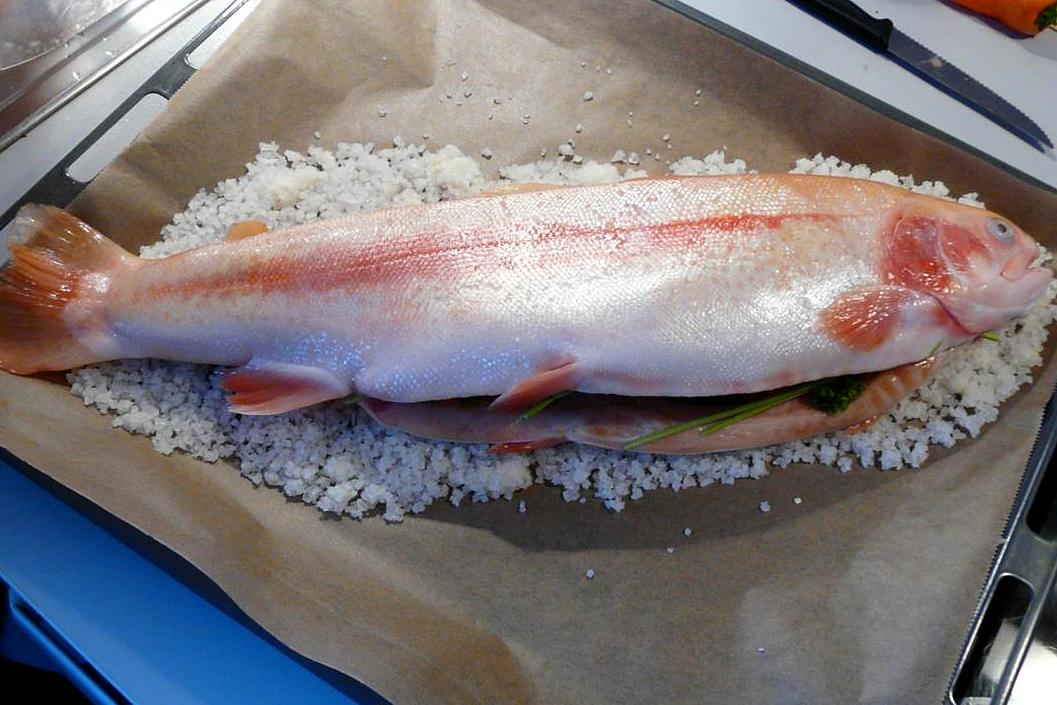 Kulinarische Welten zu Fisch- und Meeresfrucht: Goldforelle in der ...