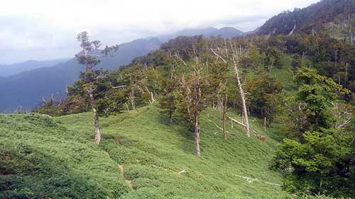 Hiking Mt. Shakagatake Nara Japan