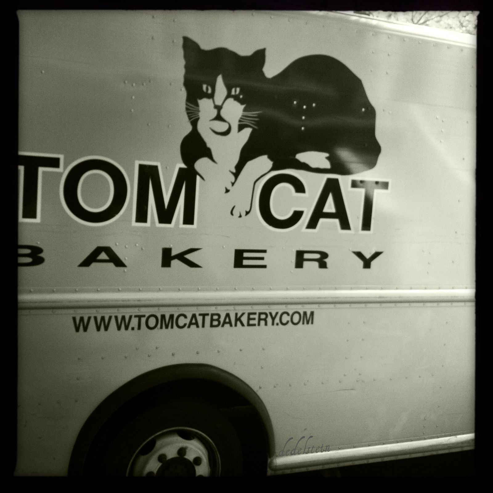 Through My Eyes tom cat bakery