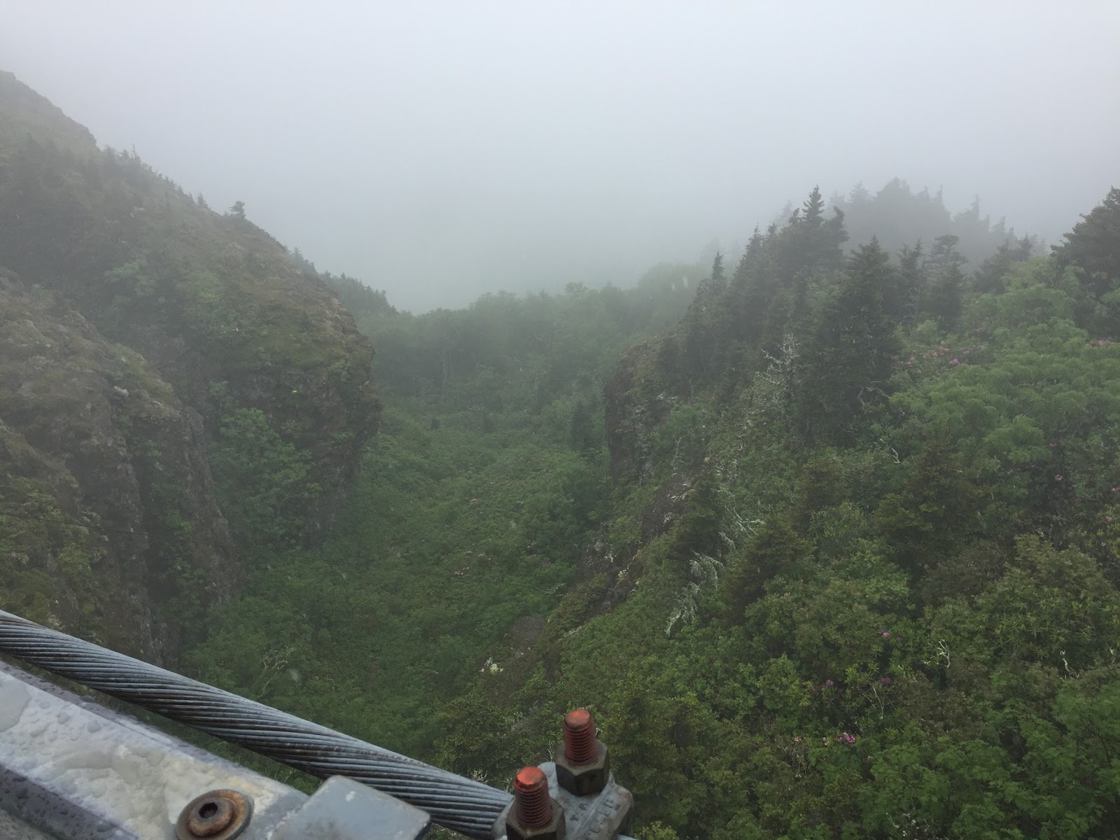 Down the Road Chutes & Ladders Hike on Grandfather Mountain NC