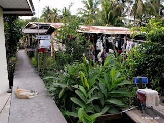 KOH KRET, LA ISLA DEL RÍO CHAO PHRAYA, BANGKOK. TAILANDIA