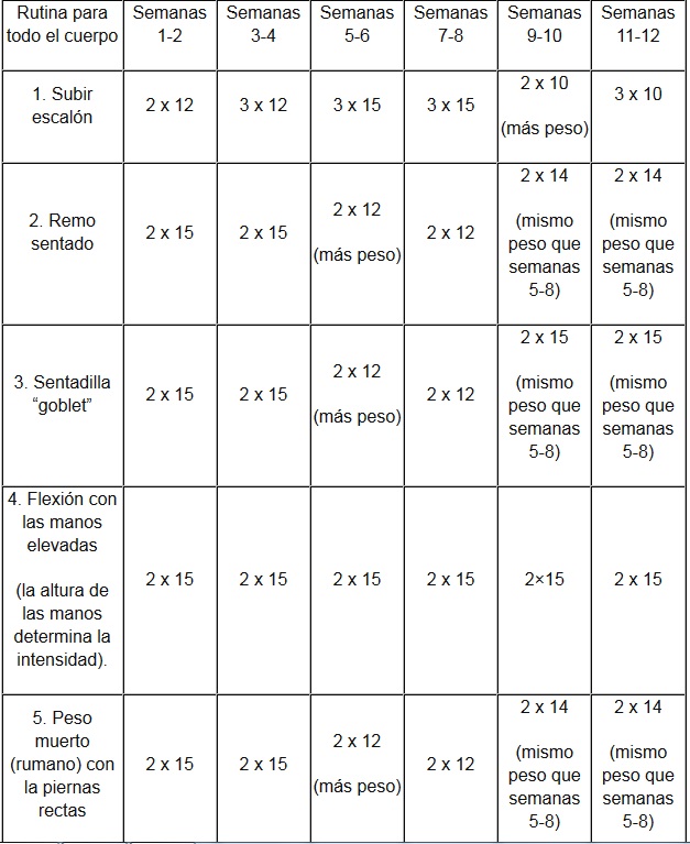 plan de entrenamiento fisico