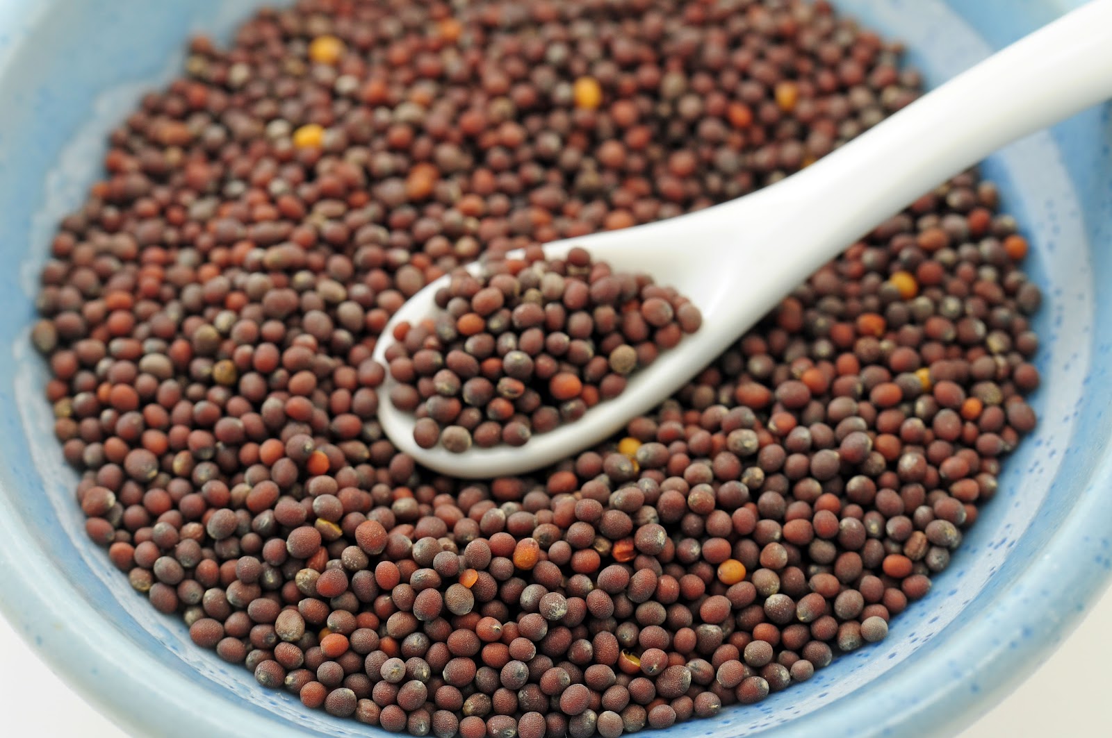 Spice Guru: Brown Mustard Seed