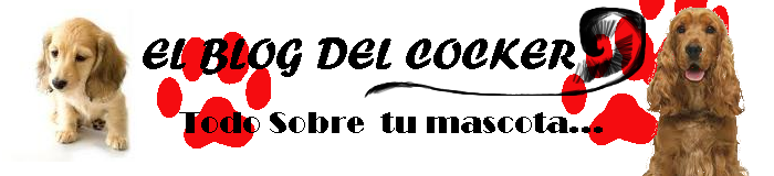 El Blog del Cocker