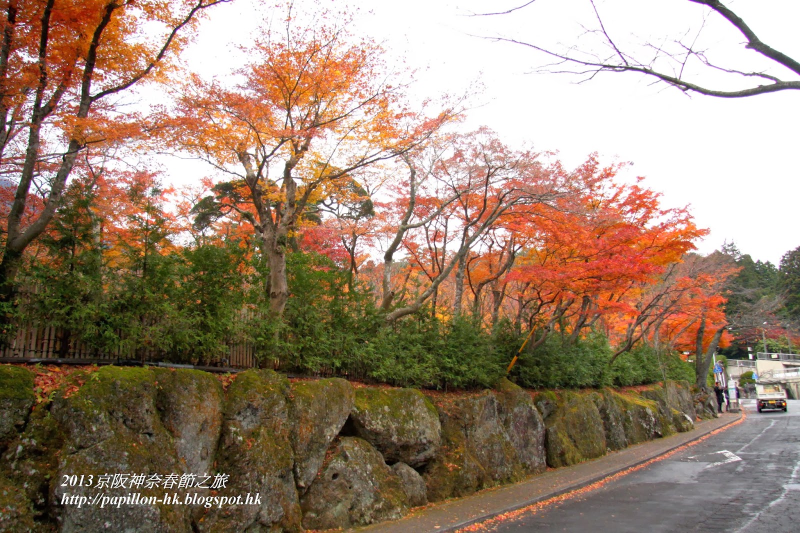 13關東賞楓記 Day4 箱根強羅公園 乾花工藝體驗seewide