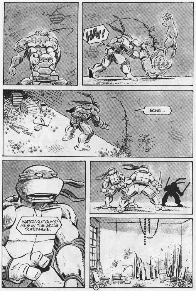 Read online Tales of the Teenage Mutant Ninja Turtles comic -  Issue #5 - 23