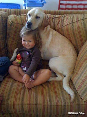 Funny Pictures Cute Animals And Kids