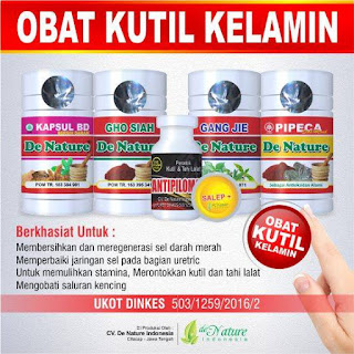 Obat Kutil Kelamin Tradisional