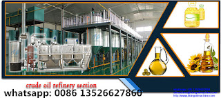 Palm kernel oil refining machine 