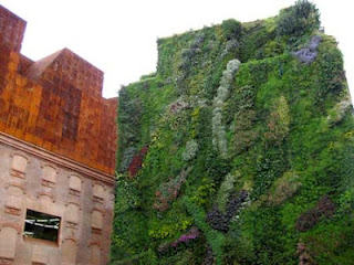 fachada vegetal