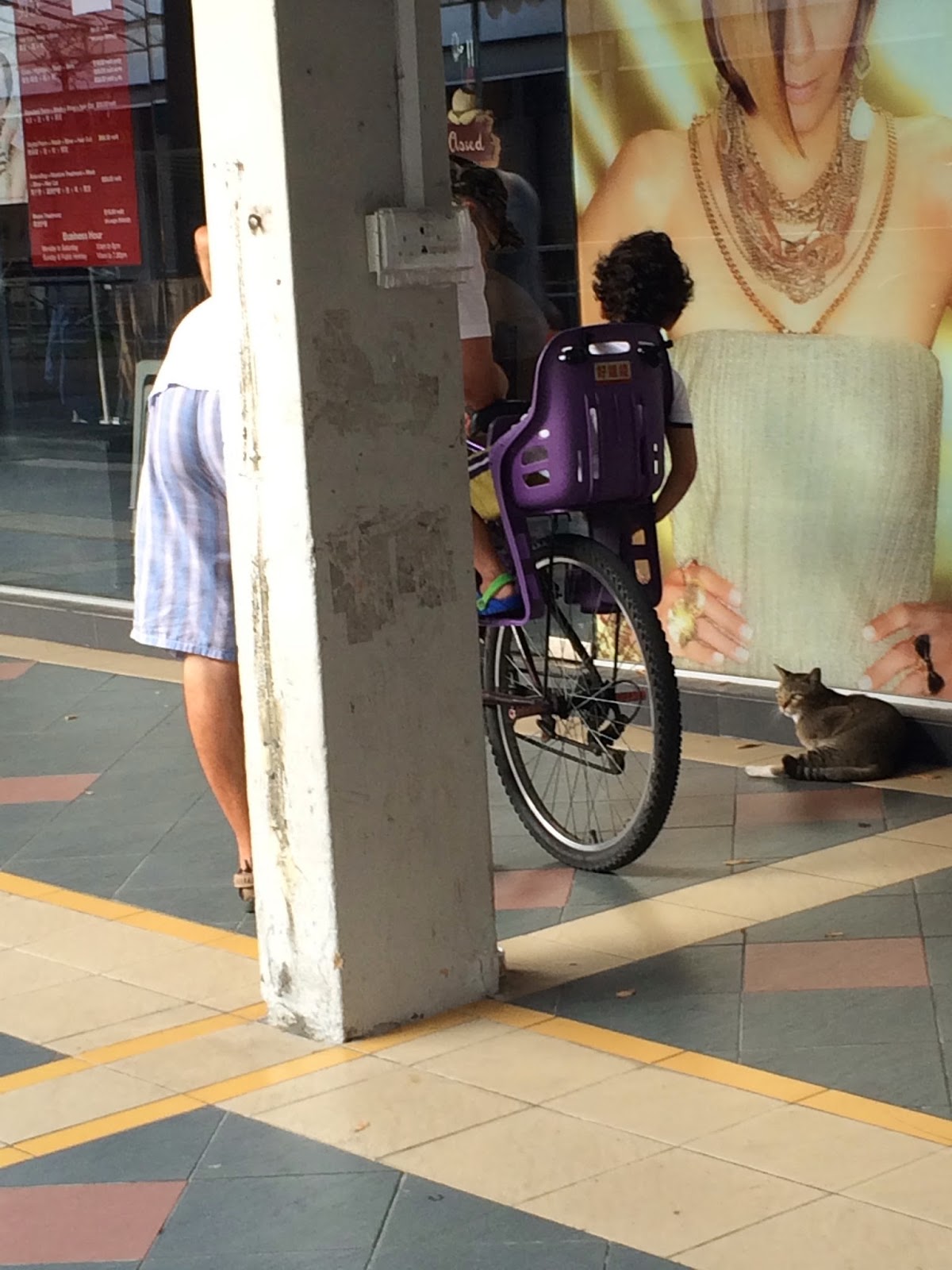Singapore Community Cats At the Mall