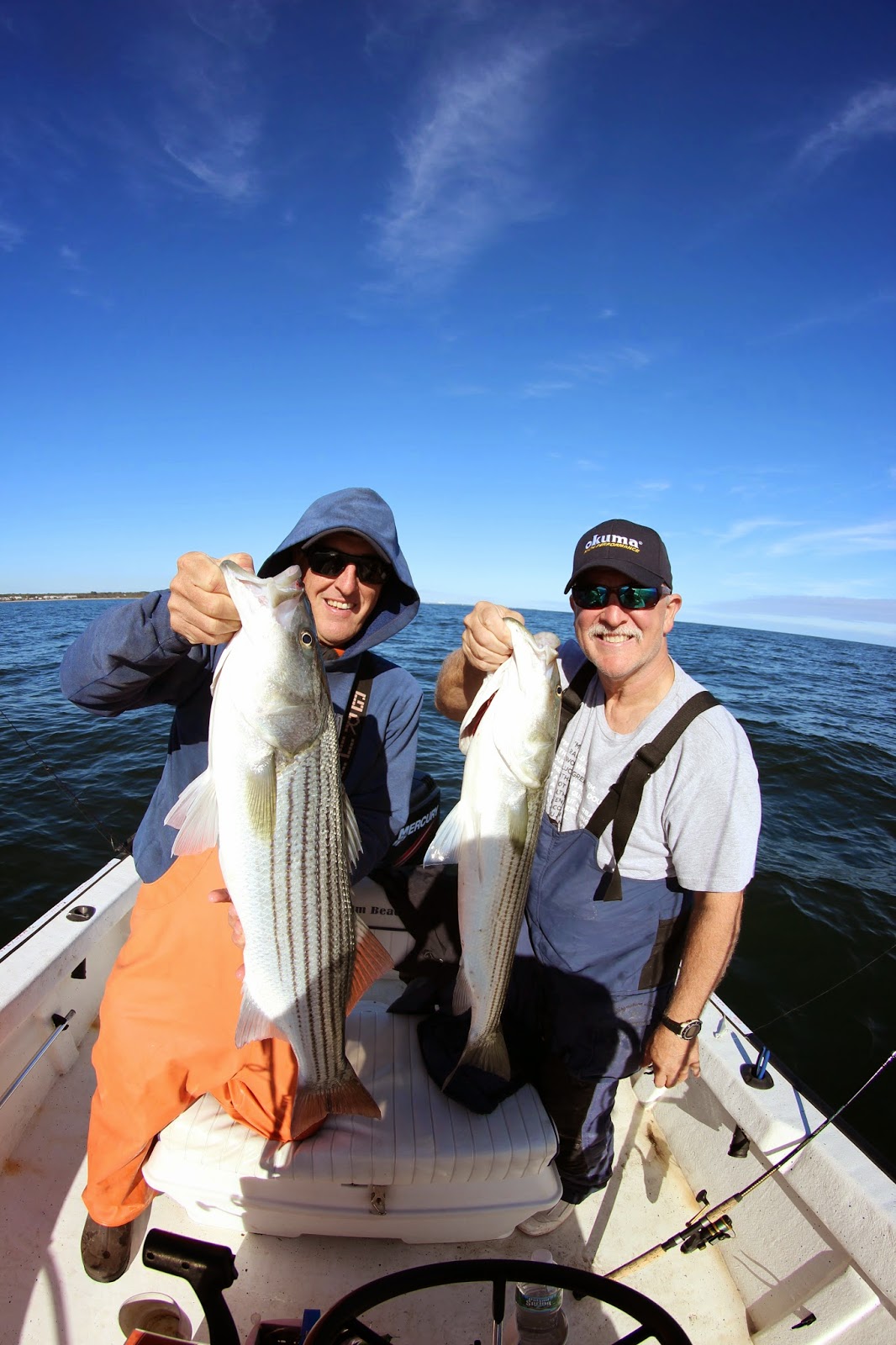 Rhode Island Striped Bass Phenomenal Striper Day from the Boat
