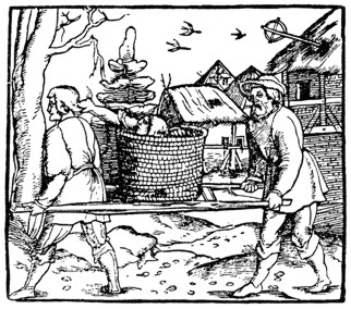 Das Leben Ist Bunt Till Eulenspiegel Fluch Der Karibik 3 Zitate Zum Geburtstag 50