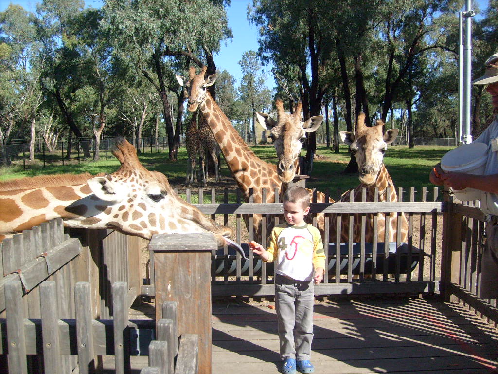 The Great Western Escape Two day adventure at the Western Plains Zoo