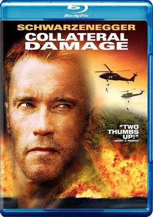 Collateral Damage 2002 BluRay Hindi 350Mb Dual Audio 480p