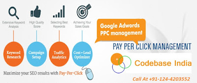 http://www.codebase.co.in/services/digital-marketing-ppc-pay-per-click-campaign-management-services-india