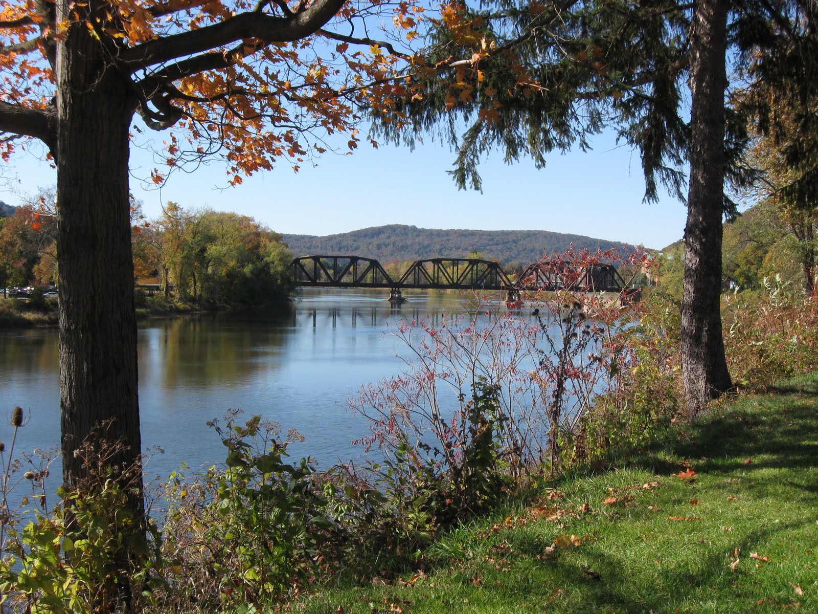 Retiring Guy Along the Allegheny River in Warren, Pennsylvania