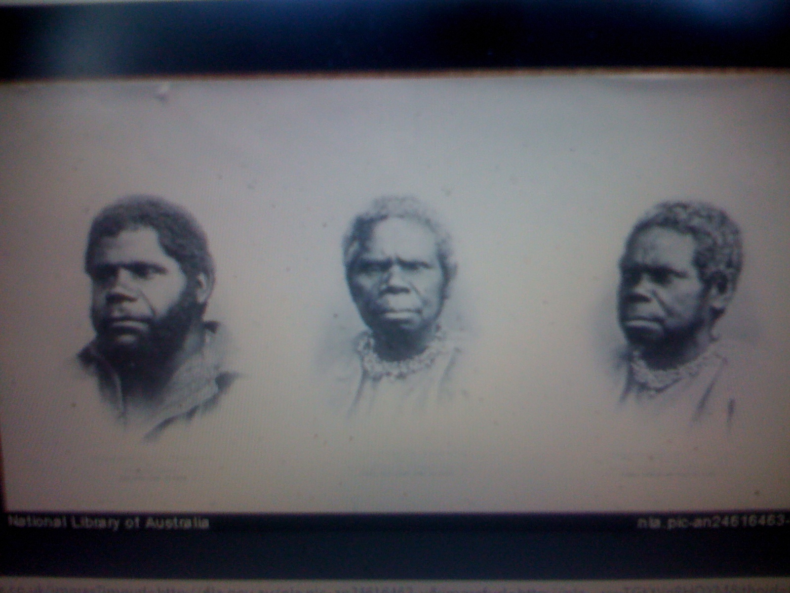 THE BLACK SOCIAL HISTORY BLACK SOCIAL HISTORY THE BLACK TASMANIANS
