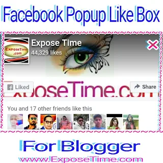 blog-keliye-facebook-popup-like-box