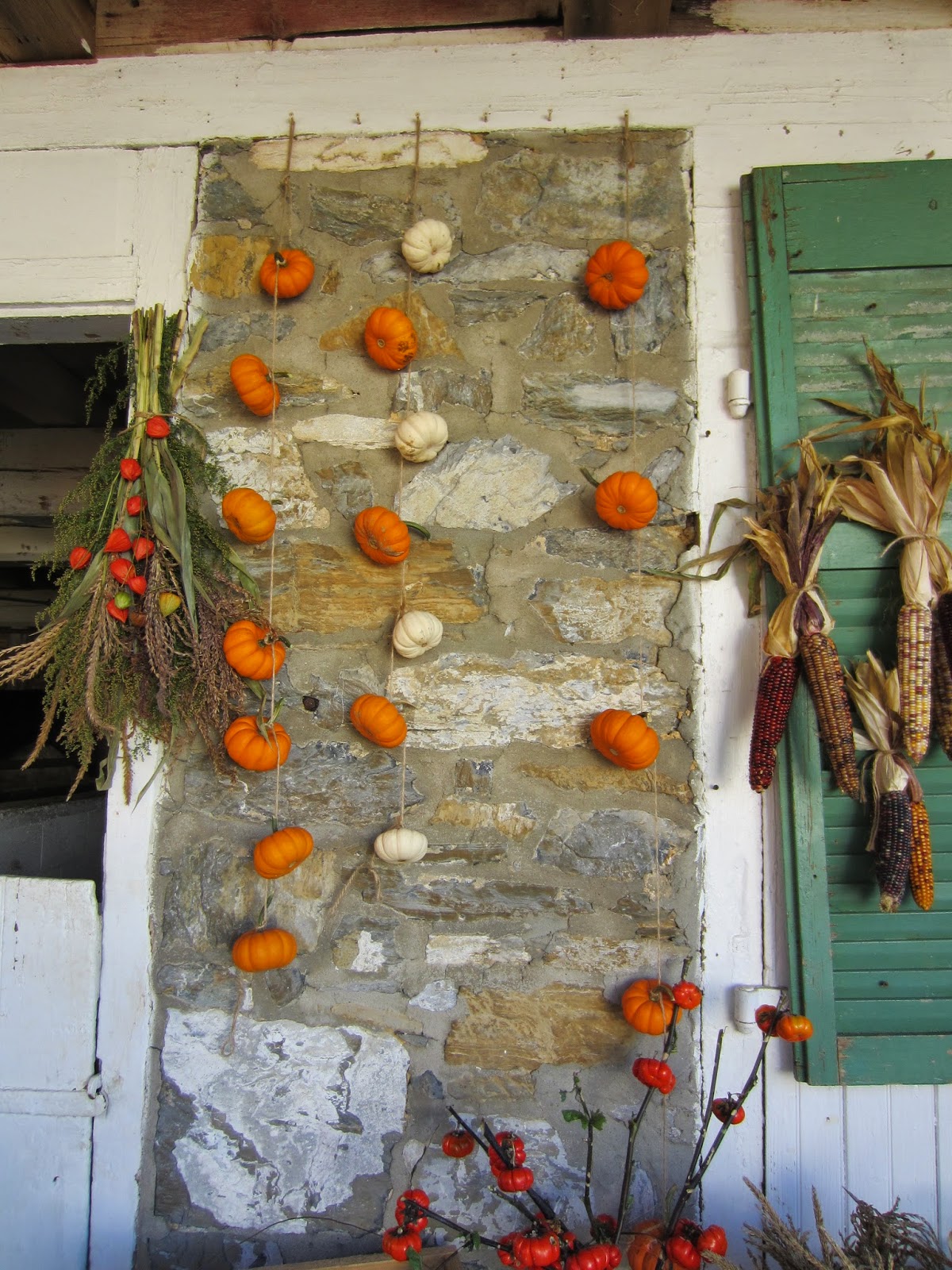 All Things Andrea Stoltzfus Gourd and Pumpkin Farm