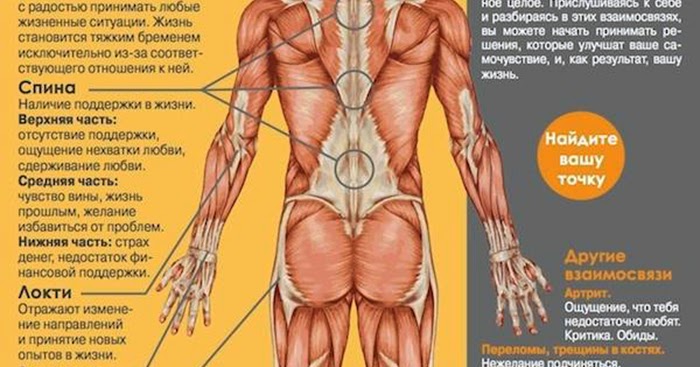 Болит вся левая сторона тела. Мышечный спазм трапеции психосоматика. Зажимы мышц спины психосоматика. Левая сторона спины мышца психосоматика. Мышечные блоки психосоматика.