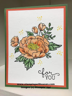 Stampin' Up Birthday Blooms Watercolor Archival Ink Watercolor Paper