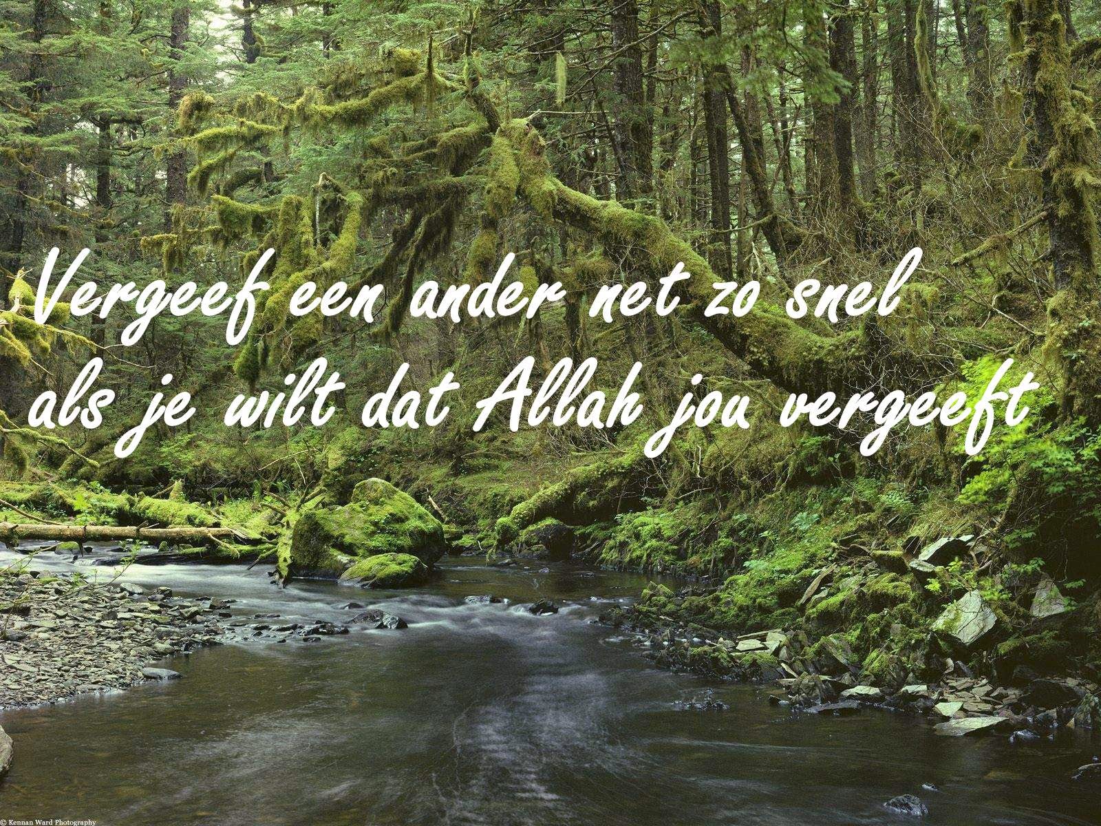Citaten en Wijze Woorden uit de Islam Vergeef een ander Citaten en Wijze Woorden uit de Islam Vergeef een ander