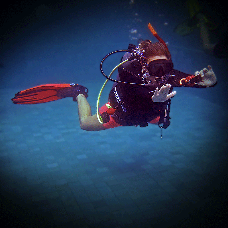 Change your life and a PADI Scuba Diving Instructor here in the