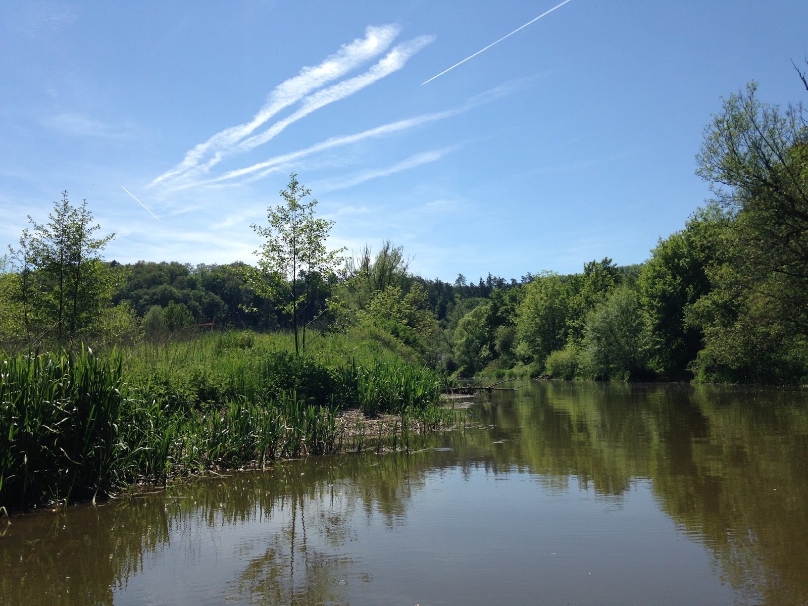 Karmic Meanderings August 2013