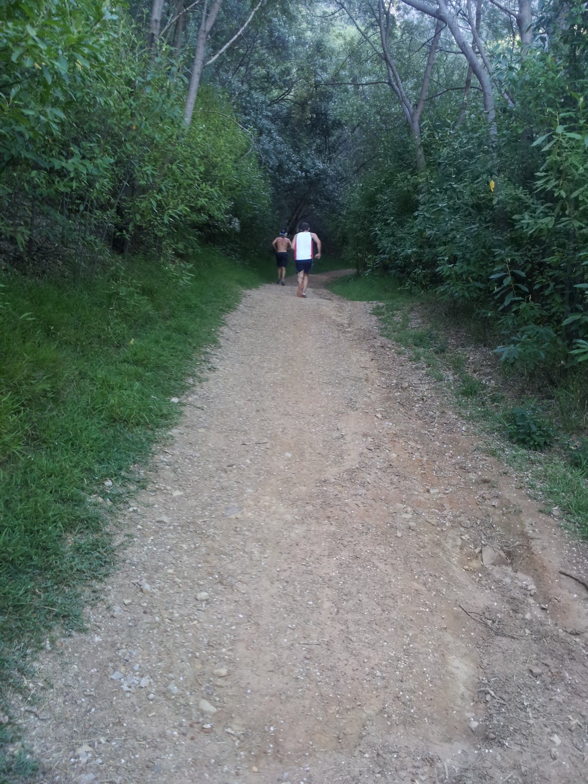 Plum Pudding Hill Trail Run