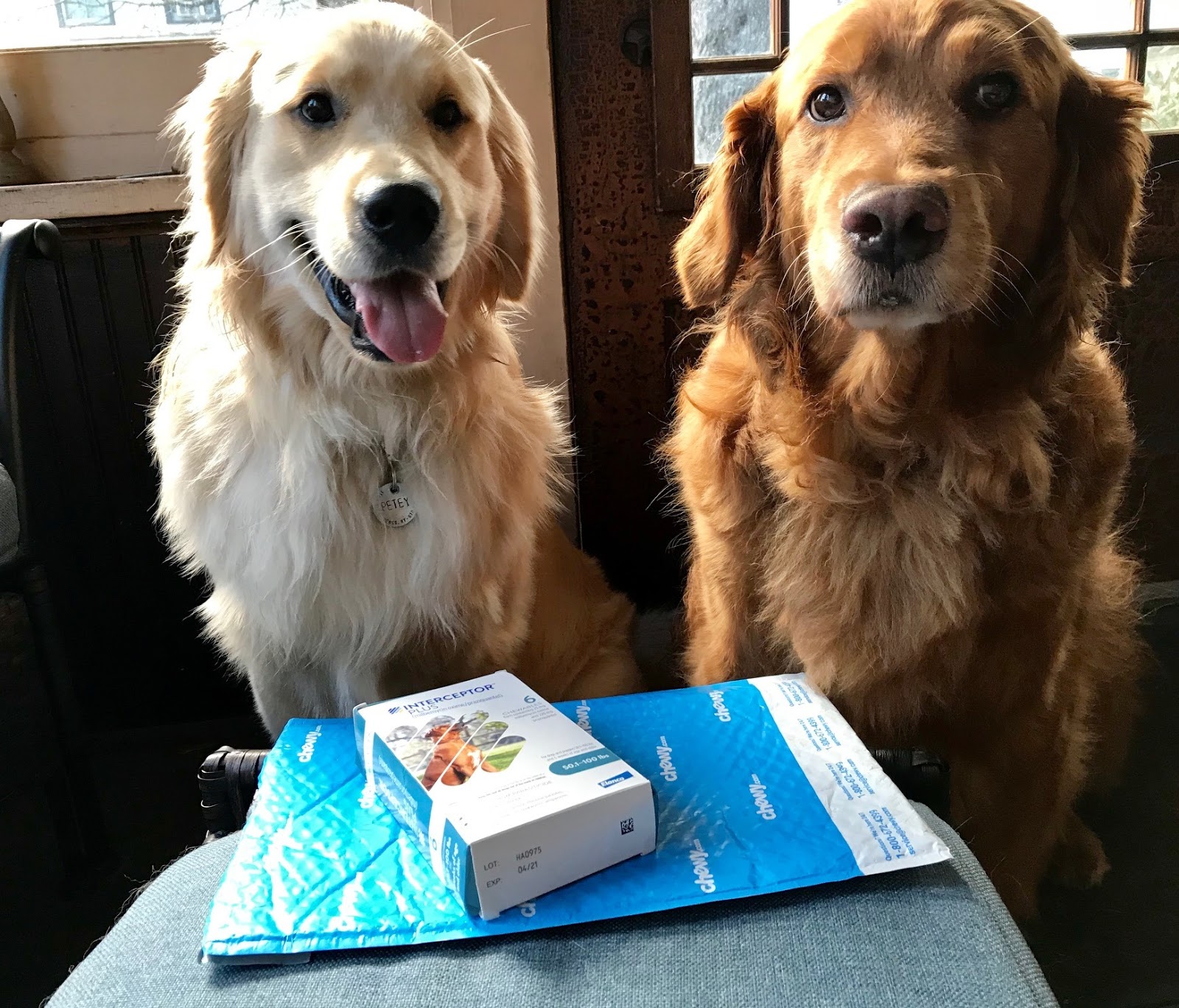 Chewy Pharmacy delivers! ChewyInfluencer