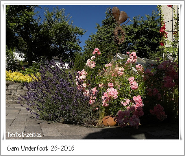Herbst Zeitlos Mein Cam Underfoot 26 2016 Von Der Terrasse