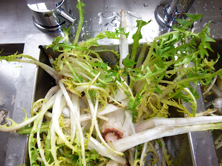 Bonjour Alsace: L&rsquo;incontournable salade de pissenlit oder