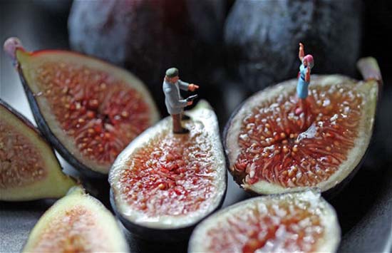 ΣΥΚΟ συνταγές 🩸 fig recipes