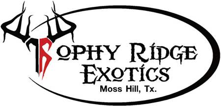 Trophy Ridge Exotics Hunting Ranch