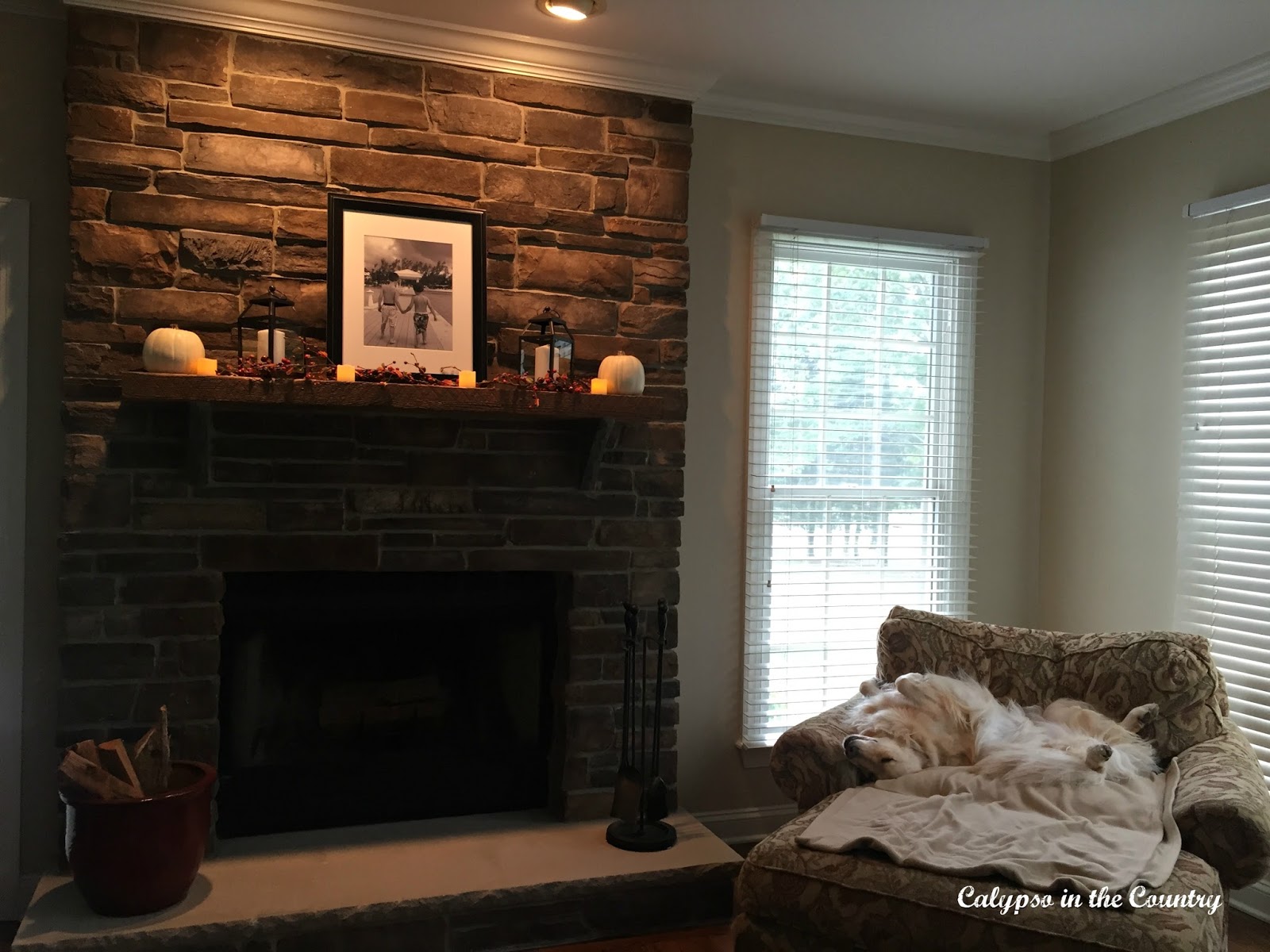 Golden Retriever next to Fireplace