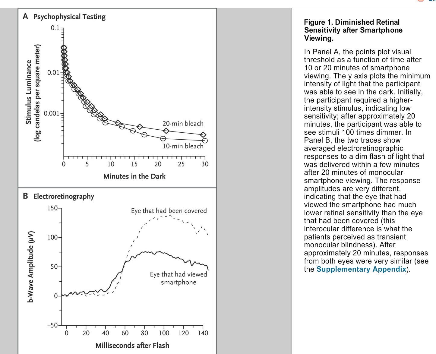 GeekPress: Transient Smartphone Blindness