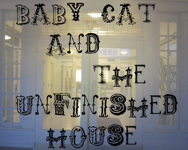 Baby Cat and the Unfinished House