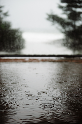 RAINY INSPIRATION 79 ideas
