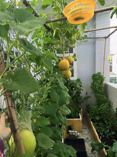 Nguong mo mo hinh VAC cua chang trai 9x o ngay trung tam Ha Noi - Anh 15