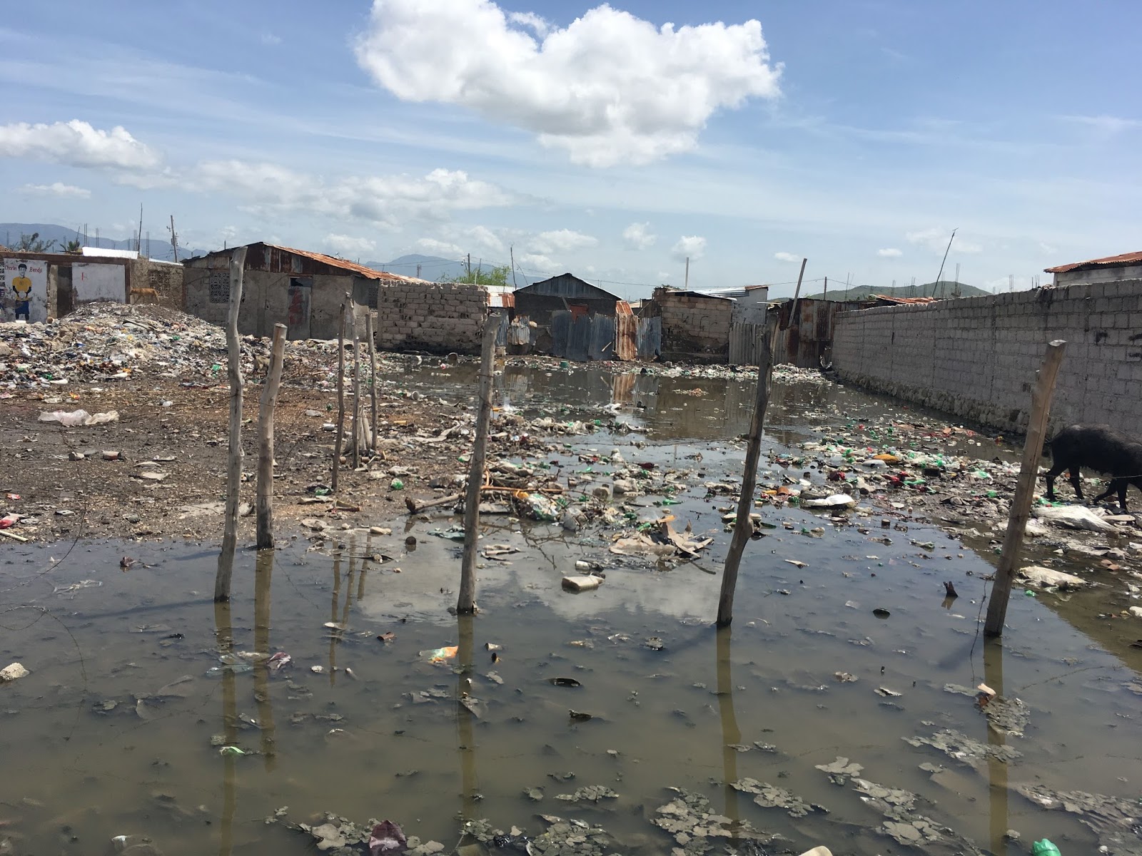 Brownie Fig Cake With Peanutbutter White Chocolate Frosting And A
