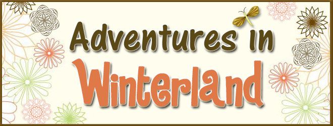 Adventures in Winterland